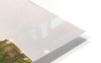 IRL 030 HD Metal print