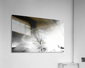 Abstract 1 Acrylic Print