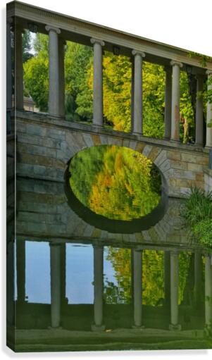 reflections Canvas Print