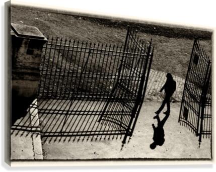 A shadow more Canvas Print