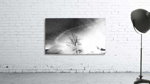 Abstract 1 Wall Preview