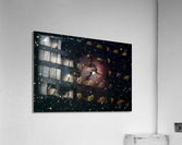 Trifid Nebula Acrylic Print