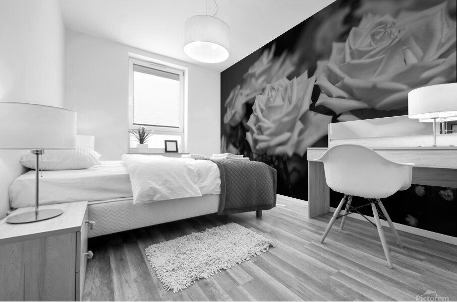 Grey rose Mural print