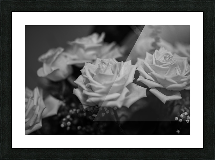 Grey rose Picture Frame print