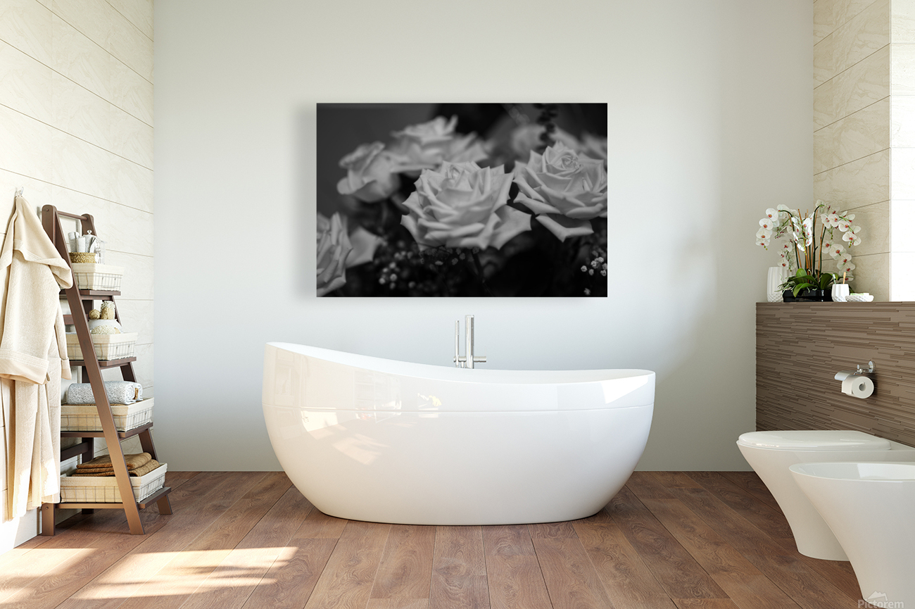 Grey rose Reproduction