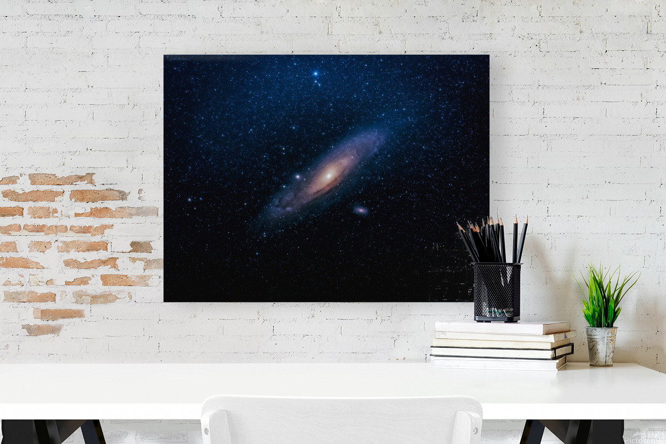Andromeda Galaxy Reproduction