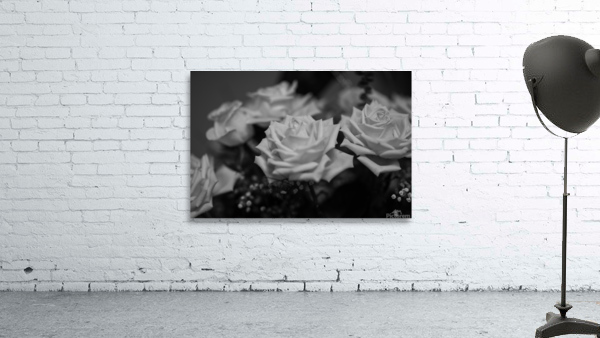 Grey rose Wall Preview