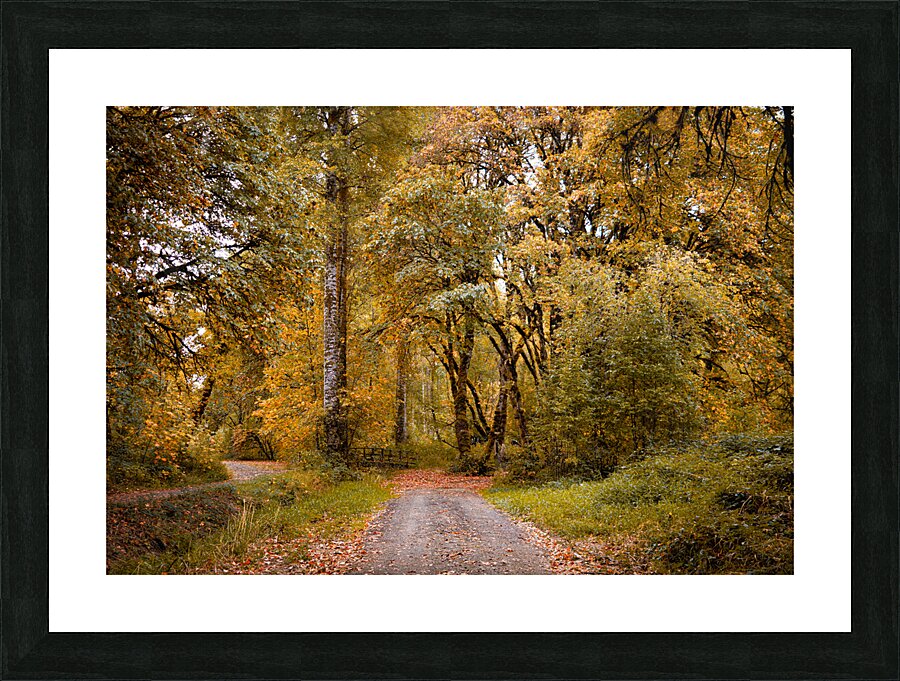 Follow Me Picture Frame print
