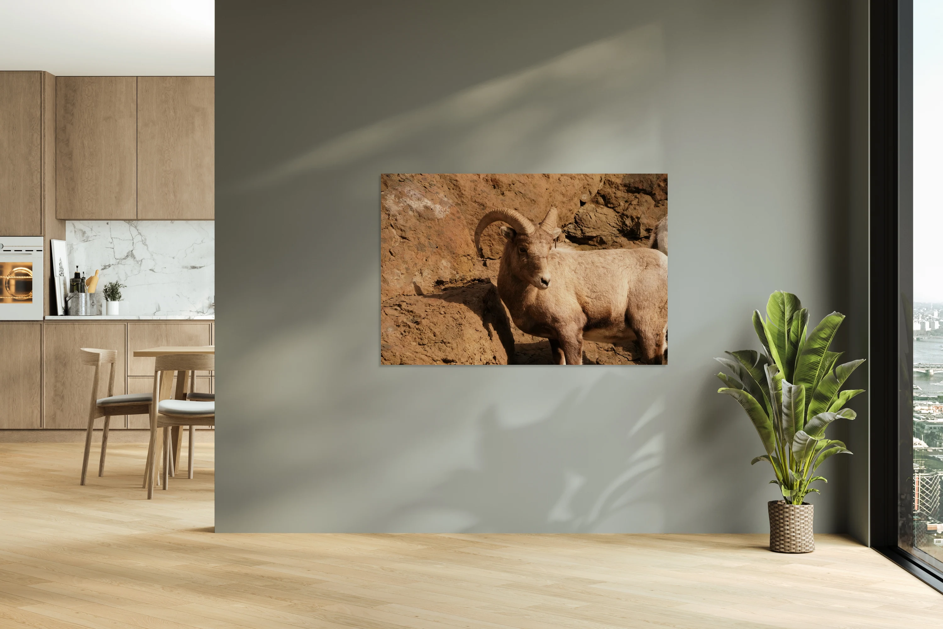 Lone Sheep