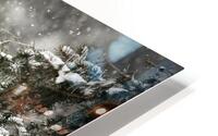 Winter Pine HD Metal print