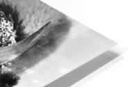 Buff b&w HD Metal print