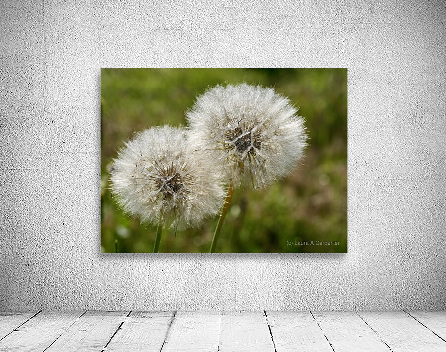  Puff Wall Preview