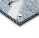 BlueHeronPR Acrylic print