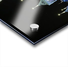 Disneyland Castle Acrylic print