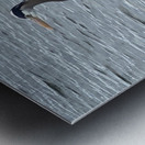 BlueHeronPR Metal print