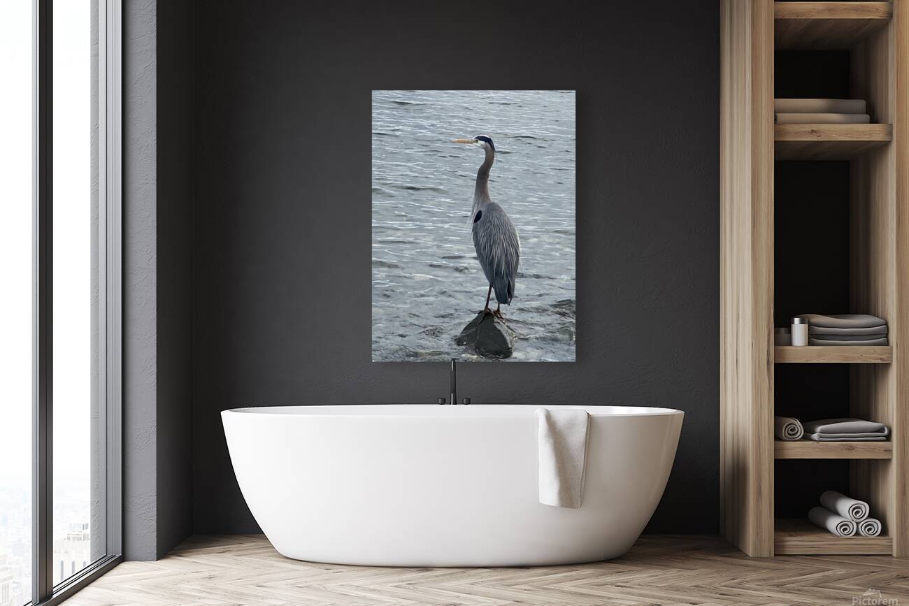 BlueHeronPR Reproduction