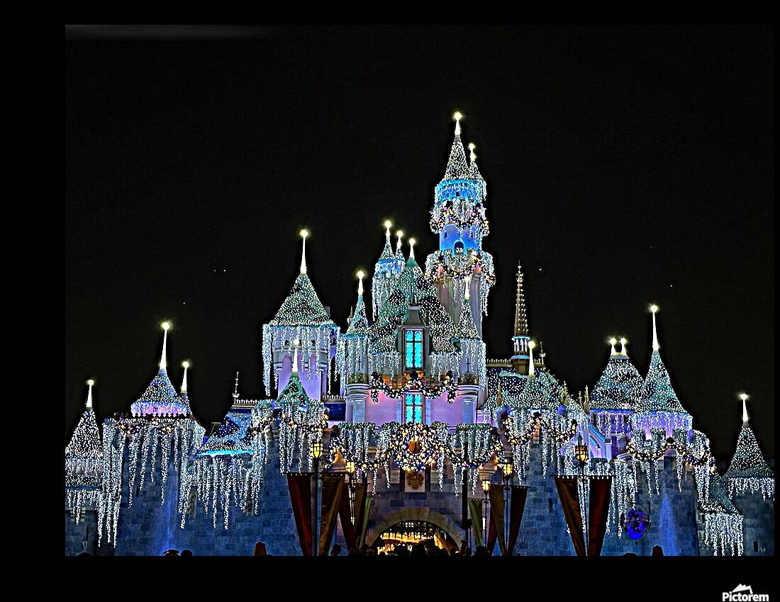 Disneyland Castle Reproduction