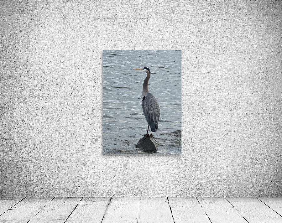 BlueHeronPR Wall Preview