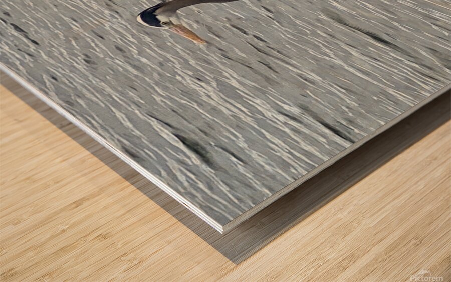 BlueHeronPR Wood print