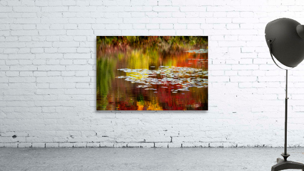 Autumn Reflections Wall Preview