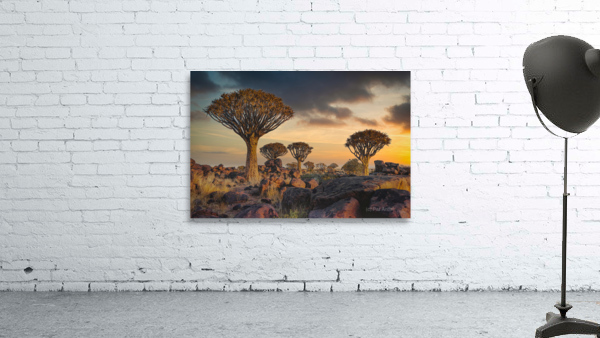 The Quiver Tree Forest Wall Preview