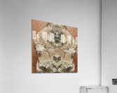 image3A8 Acrylic Print