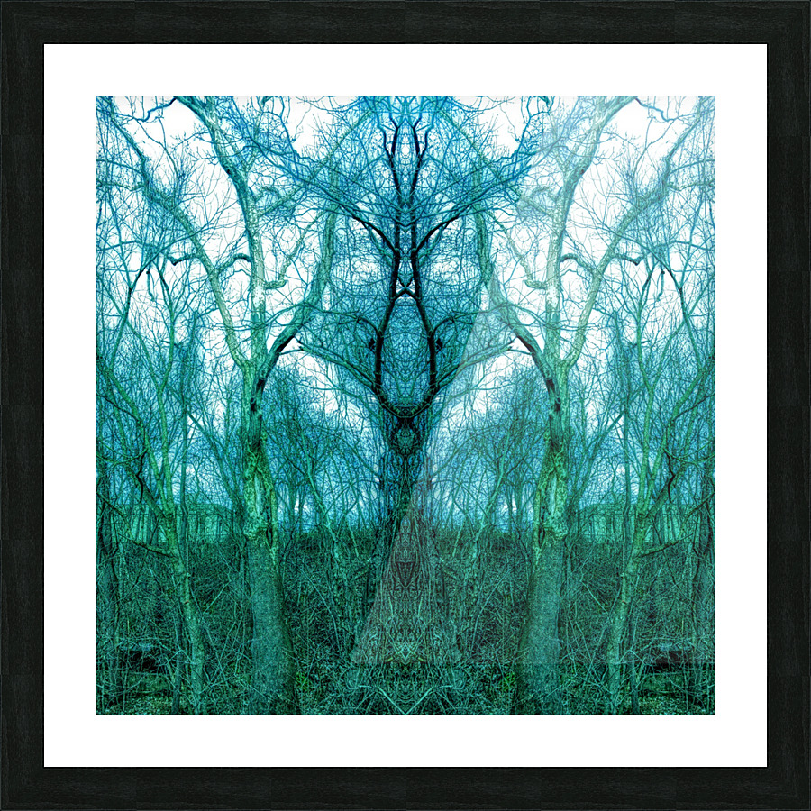 Curves Picture Frame print
