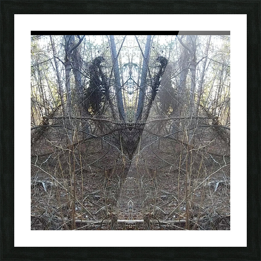 Mulekicked Picture Frame print
