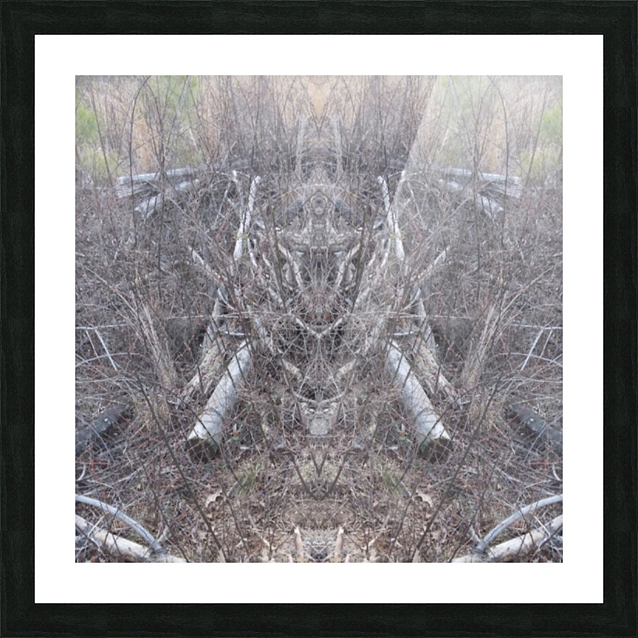 Deforestation Picture Frame print