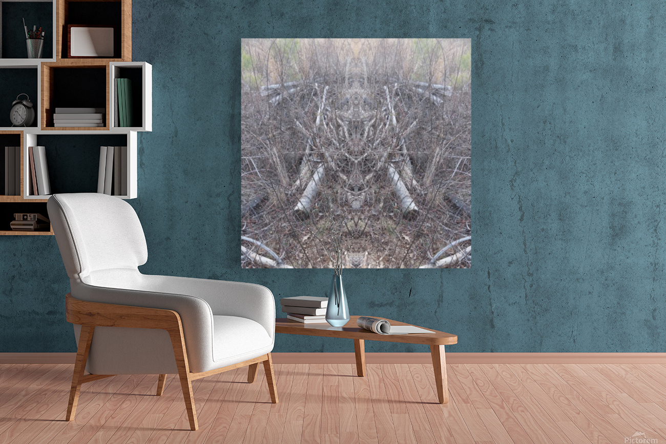 Deforestation Reproduction