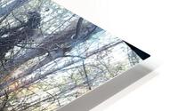 Mulekicked HD Metal print