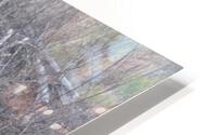 Deforestation HD Metal print