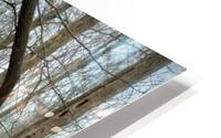 Arches HD Metal print