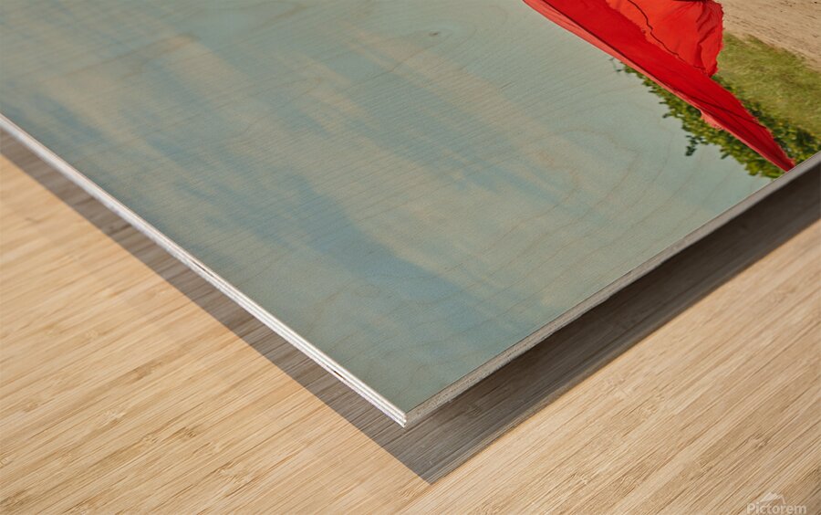 Miami Loft 2138 Wood print