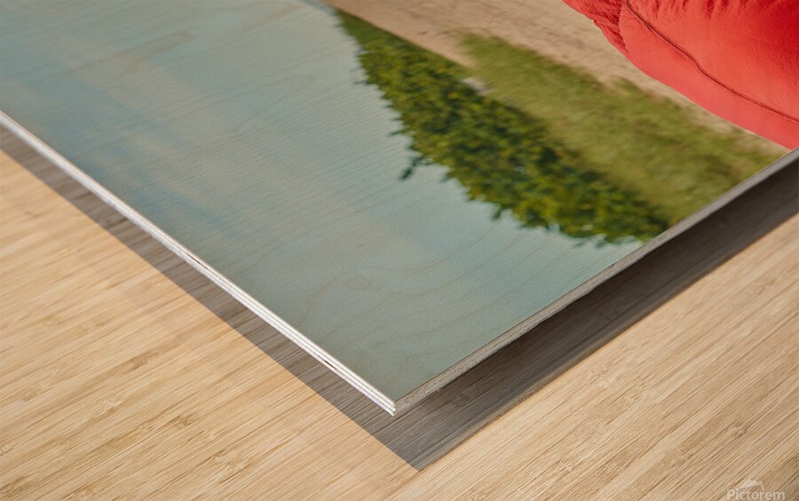 Miami Loft 2105 Wood print