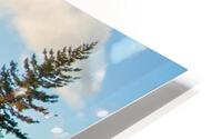 Kodiak Backcountry HD Metal print