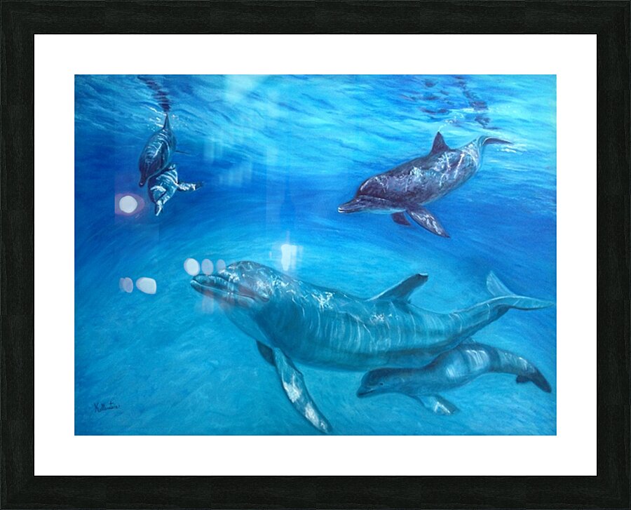 Dauphin Picture Frame print