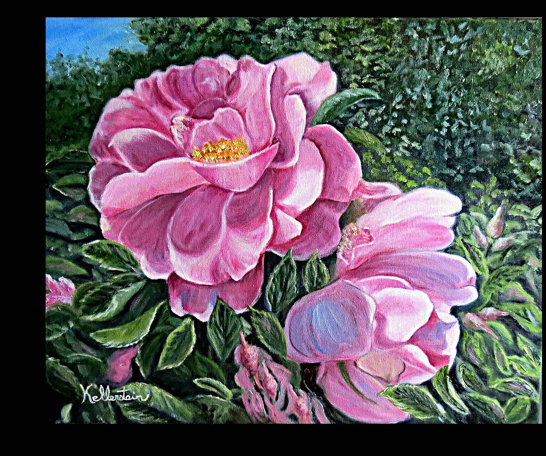Rose rustique Reproduction