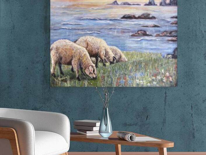 Moutons a Bonavista Terre-Neuve by Kellerstein