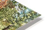 Central park HD Metal print