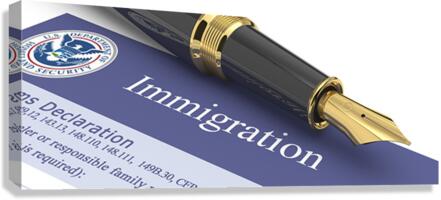 Immigration Law Canvas Print