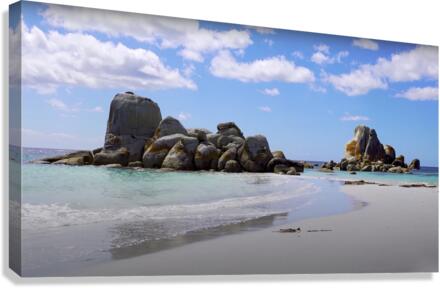 Tasmanian Beach Canvas Print