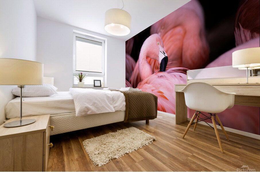 Flamingo Mural print
