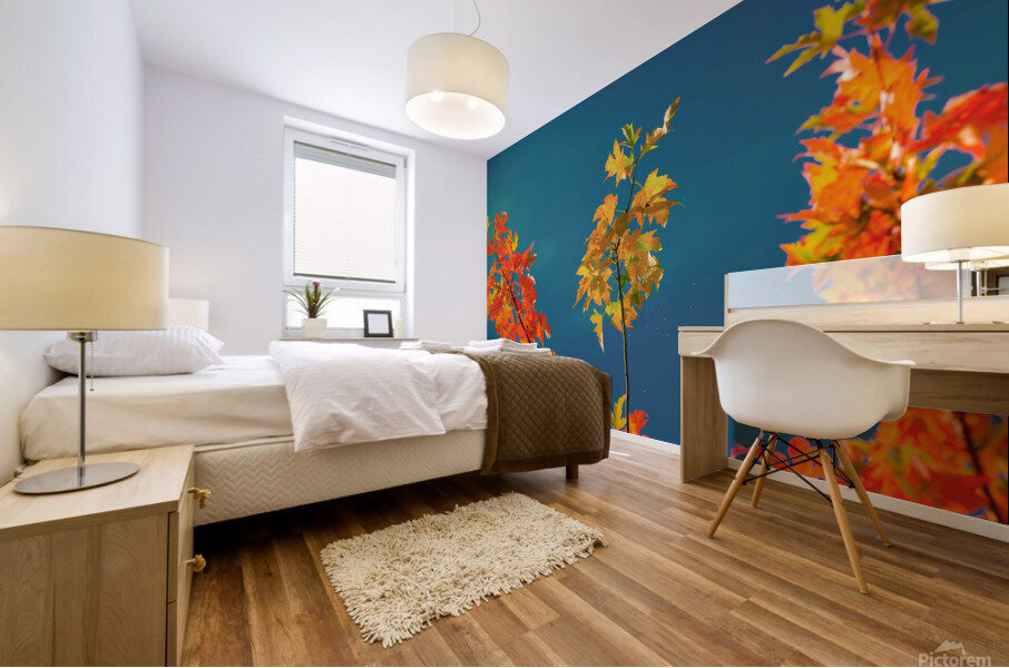 Maple Leaves Mural print