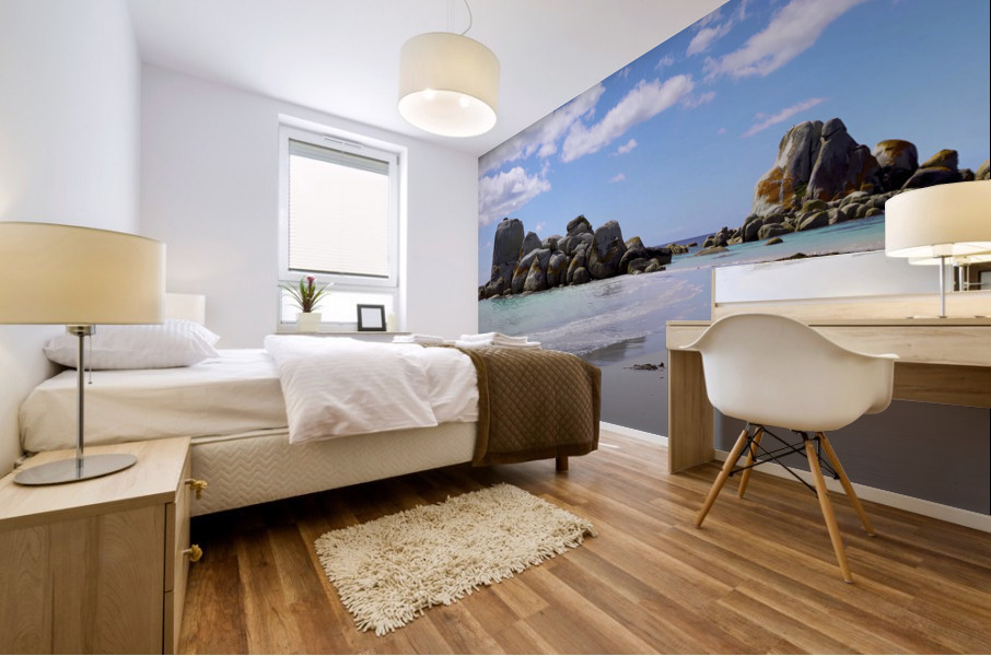 Tasmanian Beach Mural print