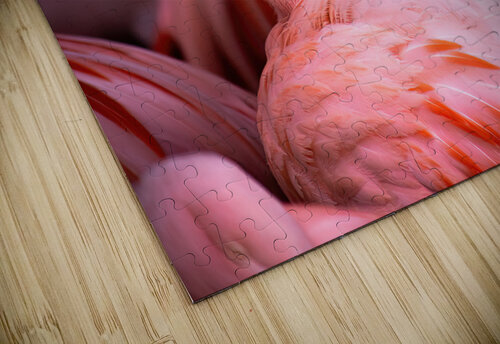 Flamingo Richard Gantiva puzzle