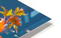 Maple Leaves HD Metal print