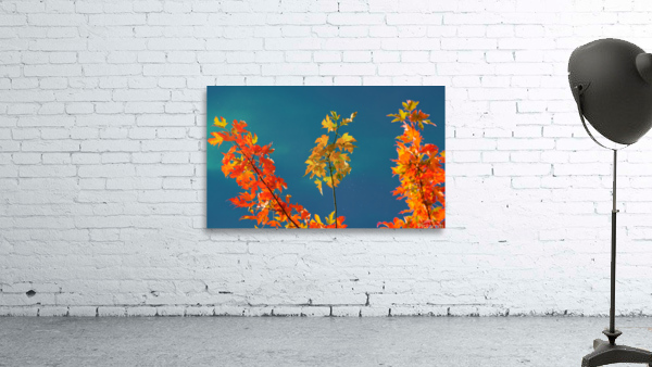 Maple Leaves Wall Preview