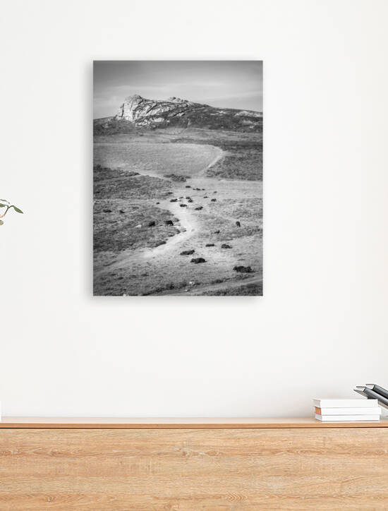 Haytor Rocks in black and white by ambrosiniv