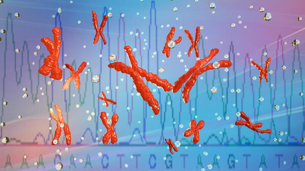 Chromosomes Digital Download